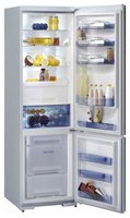 Холодильник Gorenje RK67365SA купить по лучшей цене