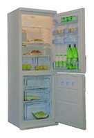 Холодильник Candy CCM 360 SLX купить по лучшей цене