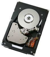 Жесткий диск (HDD) IBM 300Gb 81Y9670 купить по лучшей цене
