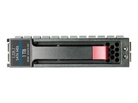 Жесткий диск (HDD) HP 1000Gb 454146-B21 купить по лучшей цене