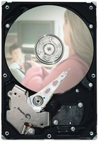 Жесткий диск (HDD) Seagate DB35.3 Series 160Gb ST3160215ACE купить по лучшей цене