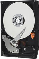 Жесткий диск (HDD) Western Digital AV 250Gb WD2500AVKX купить по лучшей цене