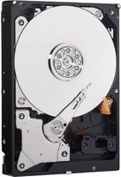 Жесткий диск (HDD) Western Digital Blue 1Tb WD10JPVX купить по лучшей цене