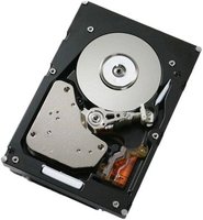 Жесткий диск (HDD) IBM Express 1Tb 41Y8302 купить по лучшей цене