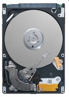 Жесткий диск (HDD) Seagate Momentus 7200.4 160Gb ST9160412AS купить по лучшей цене