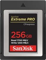 Карта памяти SanDisk Extreme Pro CFexpress Type B SDCFE-256G-GN4NN 256GB купить по лучшей цене