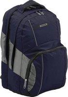 Рюкзак для ноутбука Samsonite Wander-Full (V80-004-11) купить по лучшей цене