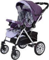 Детская коляска Jetem Castle (S-803W) Purple Check купить по лучшей цене