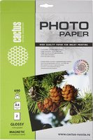 Фотобумага Cactus фотобумага глянцевая a4 690 г кв м 2 листа cs mga46902 купить по лучшей цене