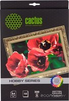 Фотобумага Cactus хлопковый холст a4 260 г кв м 10 листов cs сa426010 купить по лучшей цене