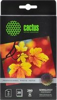 Фотобумага Cactus фотобумага prof полуглянцевая 10x15 280 г м2 листов cs sga628020 купить по лучшей цене