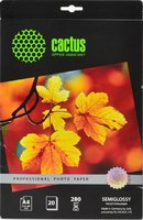 Фотобумага Cactus фотобумага полуглянцевая a4 280 г кв м 20 листов cs sga428020 купить по лучшей цене