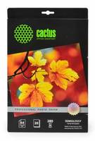 Фотобумага Cactus фотобумага cs sga428020 prof a4 280г м2 20л белый полуглянцевое струйной печати купить по лучшей цене