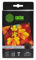 Фотобумага Cactus фотобумага cs sma628020 prof 10x15 280г м2 20л белый шелковисто матовое струйной печати купить по лучшей цене