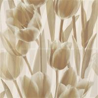 AD Ceramika Paradyz Coraline Tulipany 600x600 купить по лучшей цене