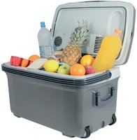 Автомобильный холодильник Mystery MTC-45 купить по лучшей цене