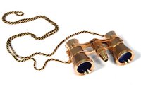 Бинокль и подзорная труба Levenhuk бинокль broadway 325f золотой с подсветкой и цепочкой купить по лучшей цене