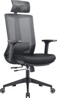 Офисное кресло (стул) Evolution ERGO BLISS Black (черный) купить по лучшей цене