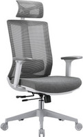 Офисное кресло (стул) Evolution ERGO BLISS Grey (серый) купить по лучшей цене
