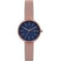 Наручные часы Skagen skw2593 купить по лучшей цене