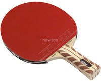 Ракетка для тенниса Atemi pro 5000 an купить по лучшей цене