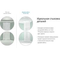 Душевая кабина Domani-Spa Delight 110 High 100x100 тонированное стекло/черный купить по лучшей цене