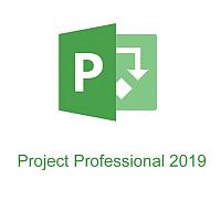 Программное обеспечение Microsoft по управления проектами project professional 2019 windows h30 05756 купить по лучшей цене