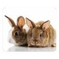 Коврик для мыши Buro ba01 10 кролики купить по лучшей цене