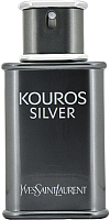 Парфюмерия Yves Saint Laurent туалетная вода kouros silver 50мл купить по лучшей цене
