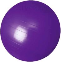 Мяч Sundays фитбол fitness ir97402 75см фиолетовый купить по лучшей цене