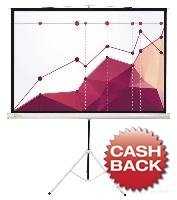 Проекционный экран проекционный экран cactus triscreen cs pst 180x180 купить по лучшей цене