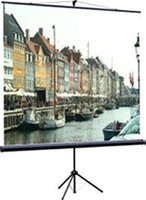 Проекционный экран проекционный экран classic solution libra 160x160 купить по лучшей цене