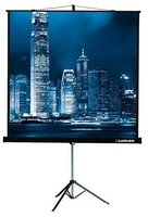 Проекционный экран проекционный экран lumien master view 120x160 lmv 100112 купить по лучшей цене