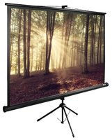 Проекционный экран проекционный экран cactus triexpert 180x135 cs-pste-180х135-bk купить по лучшей цене