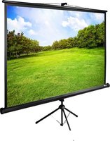 Проекционный экран проекционный экран cactus triexpert 160x160 cs-pste-160x160-bk купить по лучшей цене