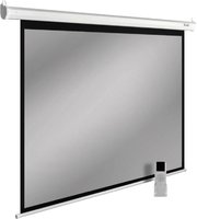 Проекционный экран проекционный экран cactus silvermotoexpert 150x240 cs-pssme-240x150-wt купить по лучшей цене