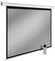 Проекционный экран проекционный экран cactus silvermotoexpert 150x240 cs-pssme-240x150-dg купить по лучшей цене