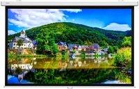 Проекционный экран проекционный экран lumien master picture 194х276 lmp-100114csr купить по лучшей цене