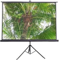 Проекционный экран проекционный экран future vision tripod 240x240 t240smw купить по лучшей цене