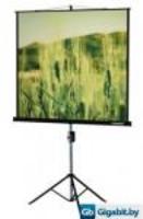 Проекционный экран UMi экран треноге lumien 153x153см master view 1 напольный рулонный купить по лучшей цене