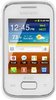 Samsung S5302 Galaxy Pocket DuoS
