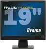 Iiyama ProLite P1905S-2
